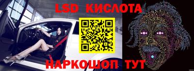 прущие грибы Комсомольск-на-Амуре