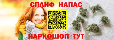 прущие грибы Комсомольск-на-Амуре