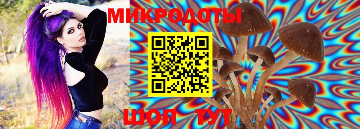 Галлюциногенные грибы Psilocybine cubensis  Вход с VPN  Корсаков  Галлюциногенные грибы прущие грибы 