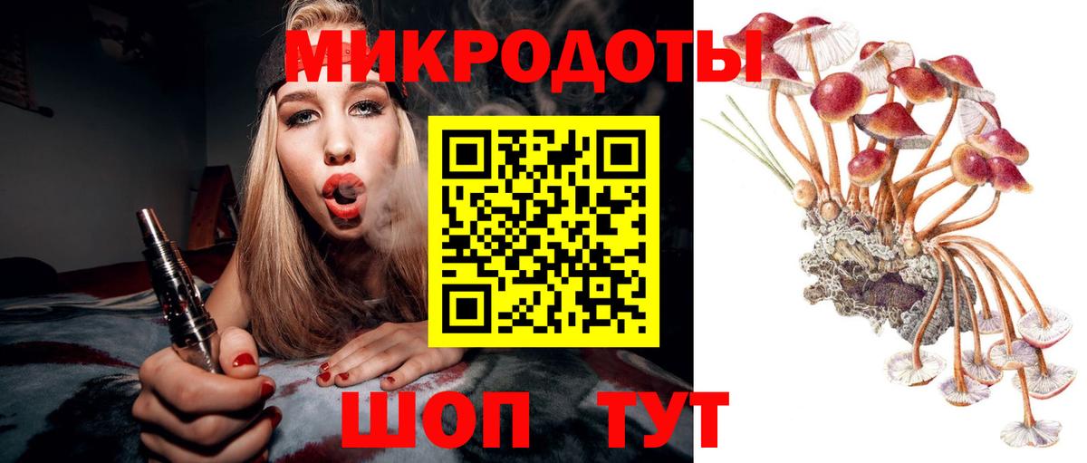 Псилоцибиновые грибы Psilocybe Корсаков